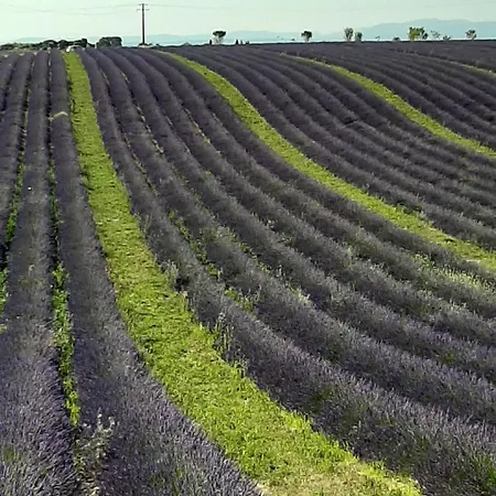Garrigues Les Bains Curistes Thalatherme * Greoux-les-Bains